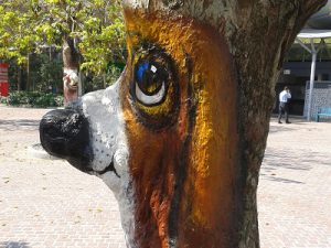 TopZoo Paderborn (Zoo Kanne) | Zoogeschäft / Zoohandel / Tierbedarf