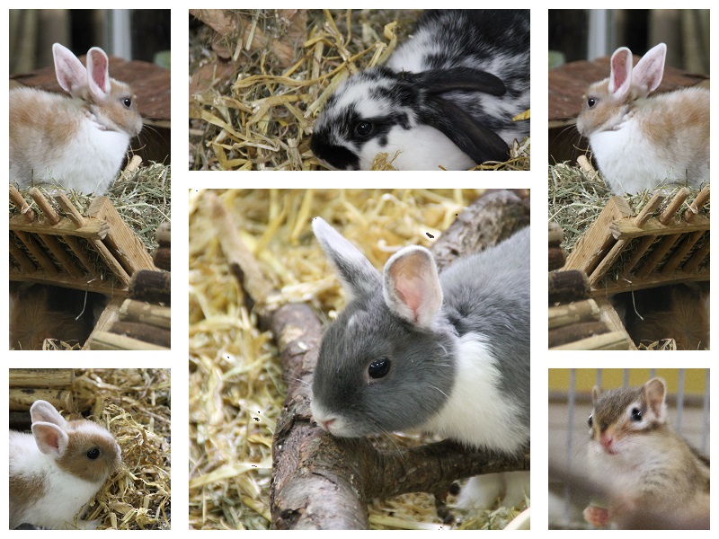 Nagerbedarf TopZoo Paderborn